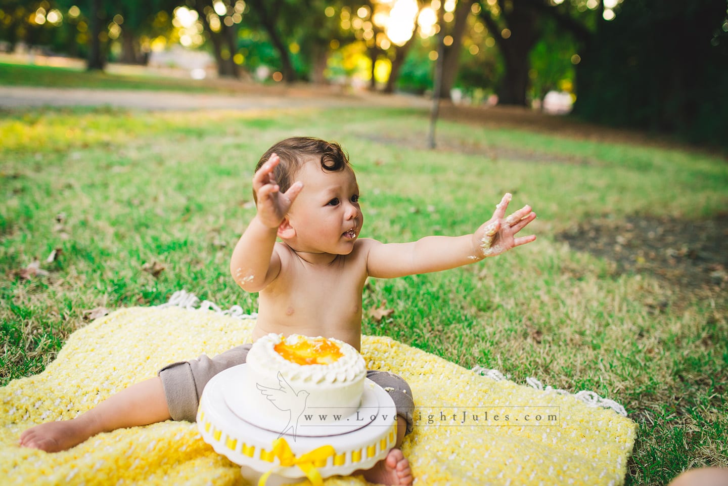 picture-of-baby-cake-smash-photo-session