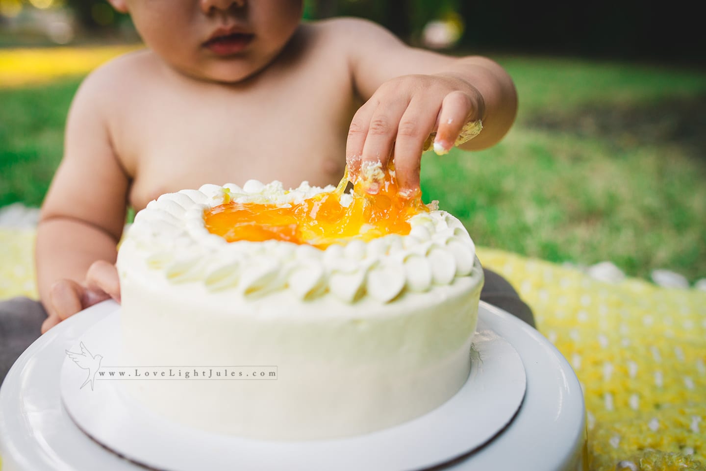 picture-of-baby-cake-smash-photo-session