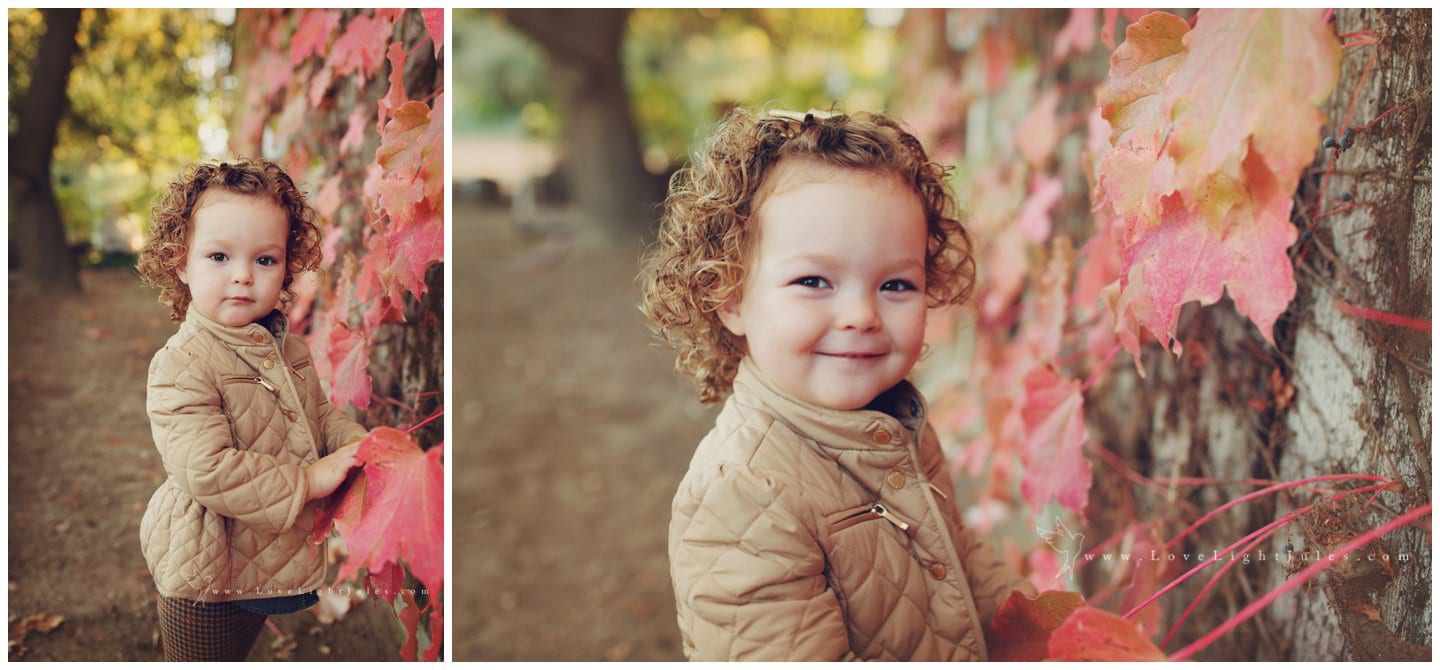 photo-session-with-little-girl-in-fall-leaves-in-sacramento-area-winery