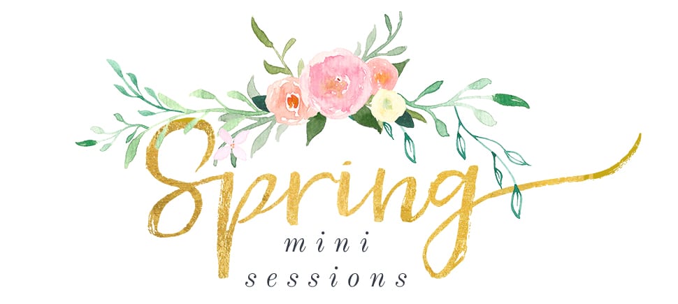 spring-mini-session-header-from-love-light-jules